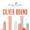 Silver Bound