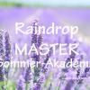 Raindrop MASTER - Sommerakademie